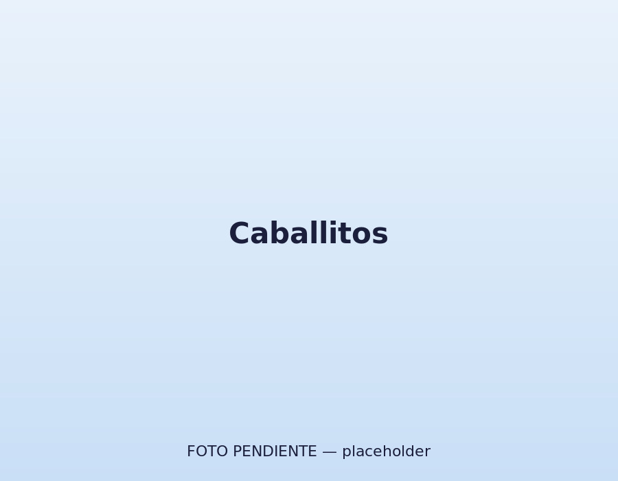 Caballitos en la zona de psicomotricidad