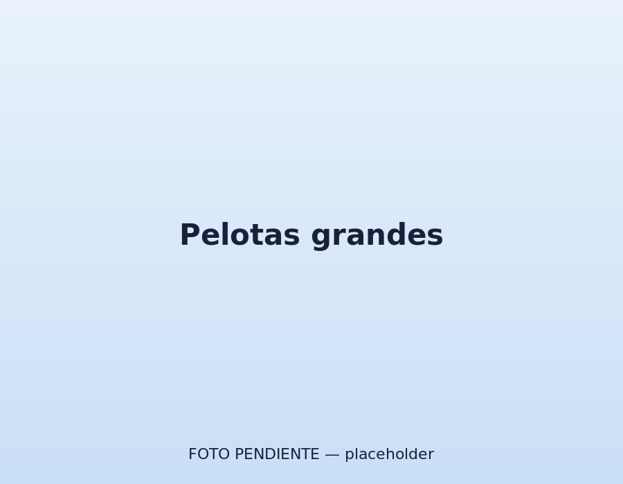 Pelota grande en la zona de psicomotricidad
