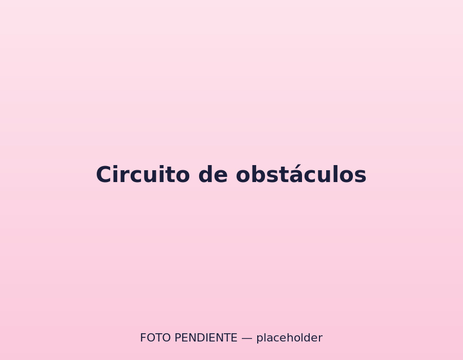 Circuito de obstáculos en la zona de aventuras