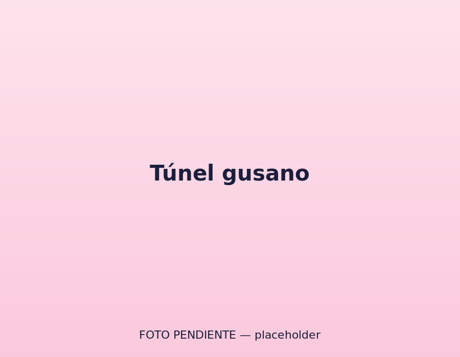 Túnel gusano en la zona de aventuras