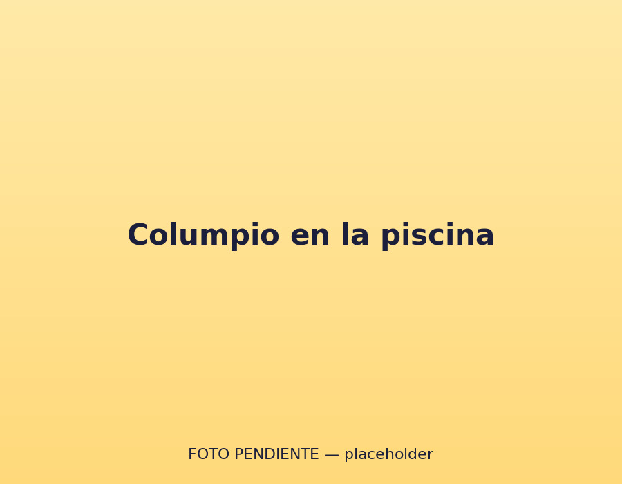 Columpio sobre la piscina de bolas