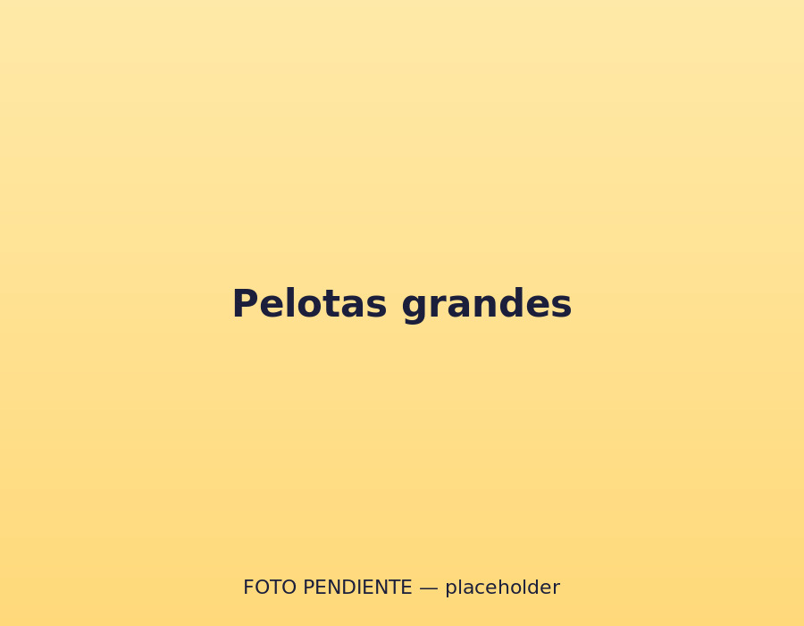 Pelota grande en la zona de pelotas
