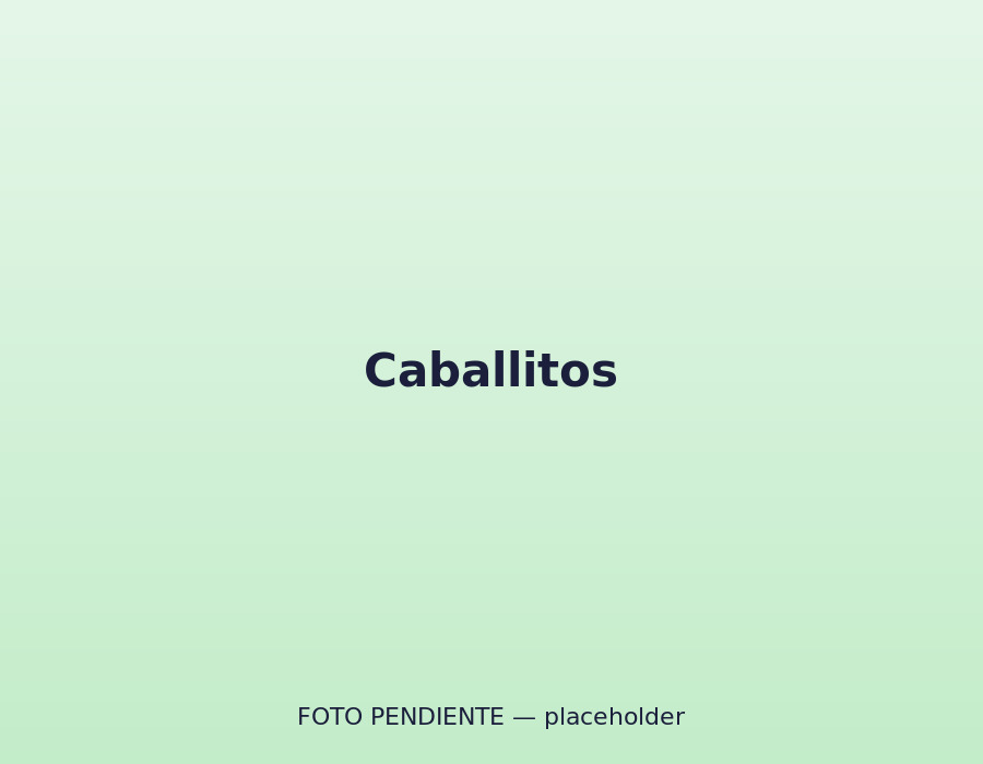 Caballitos en la zona de movimiento