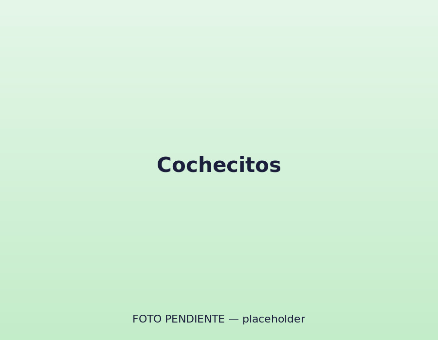 Cochecitos en la zona de movimiento